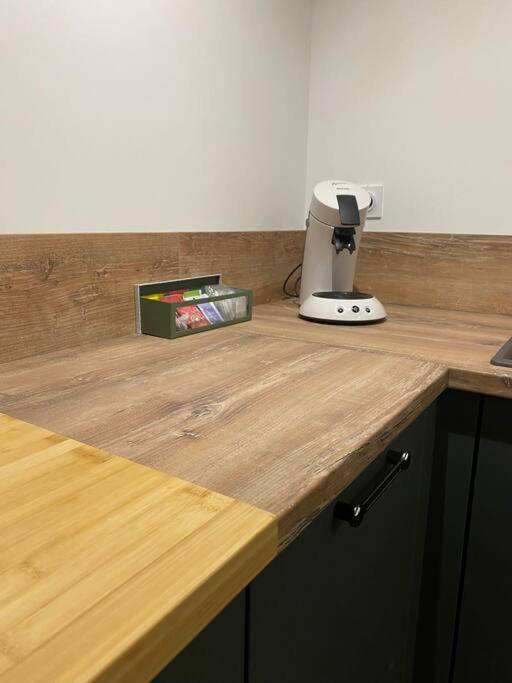 Loft Proche Centre Ville Hotes Habitant A L Etage Лавал Екстериор снимка